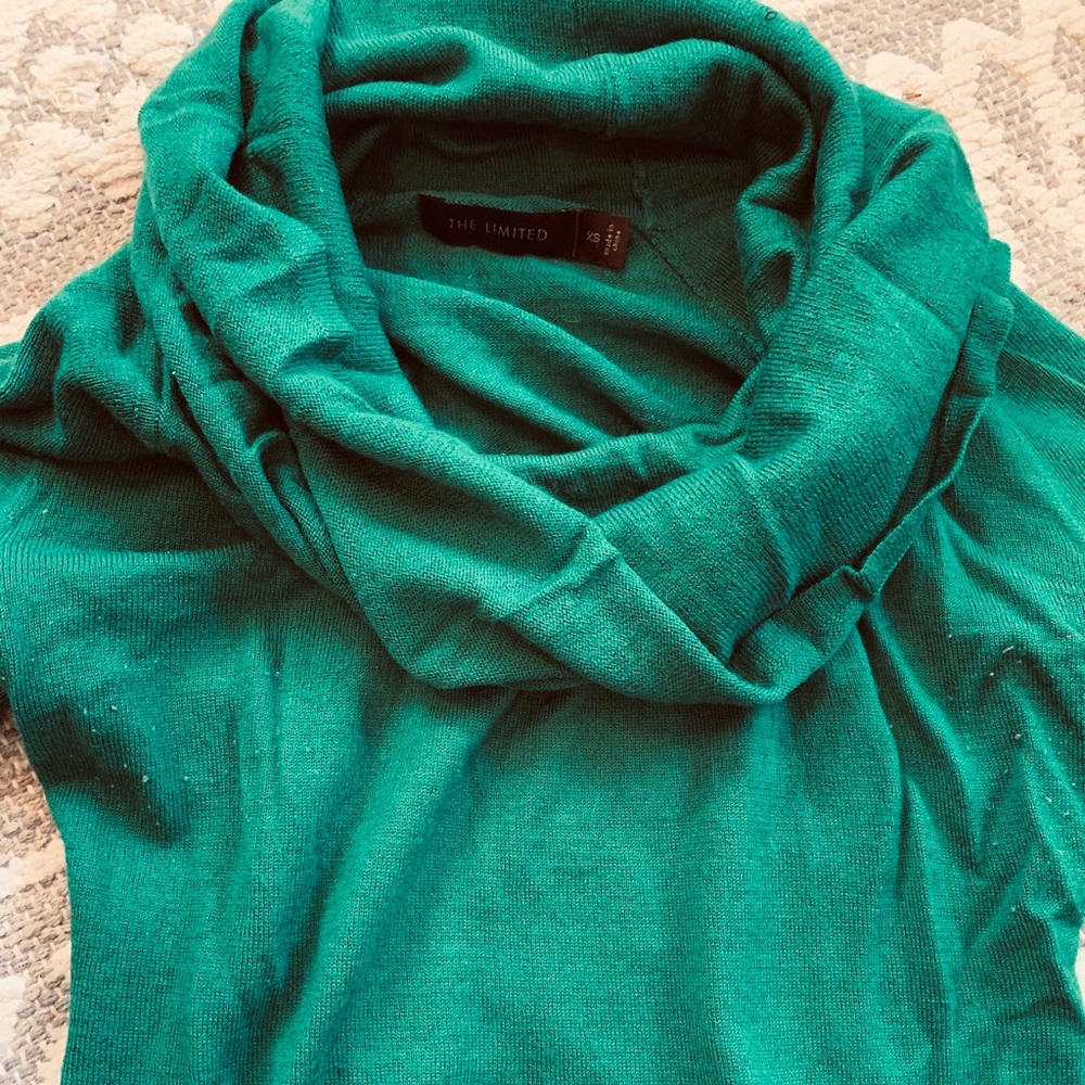 The Limited green sweater loose turtle neck